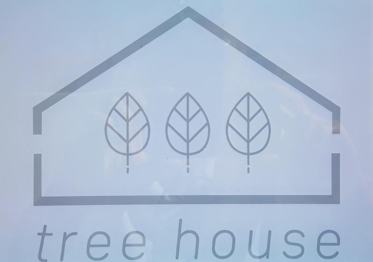 Готель Tree House - Casa Figueira Сезімбра Екстер'єр фото
